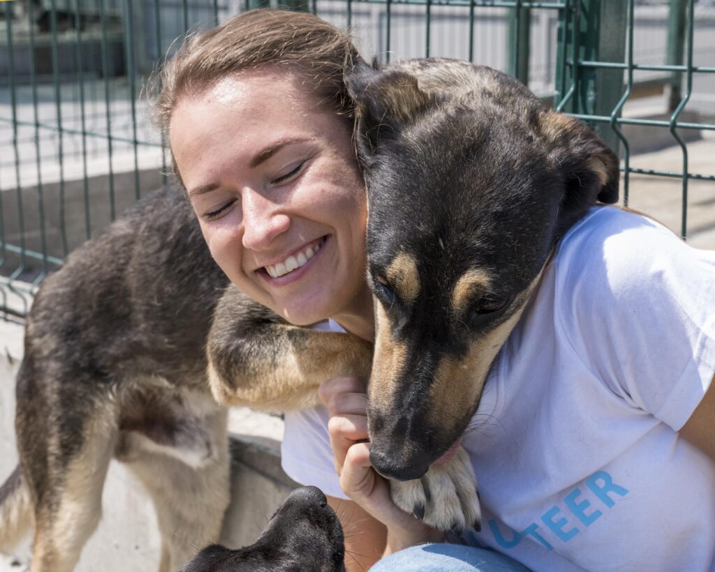 Paws of Hope: Our Ongoing Mission for Animal Welfare